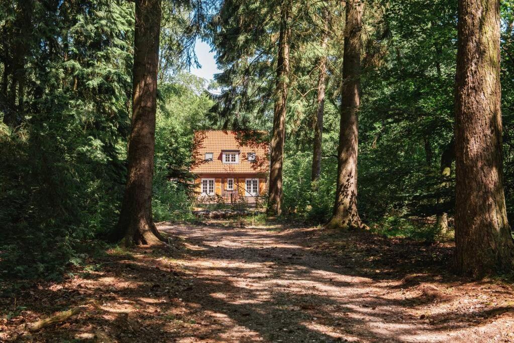 Fantastisch Familiehuis Met Grote Tuin I Bosrijk 卢特伦 外观 照片